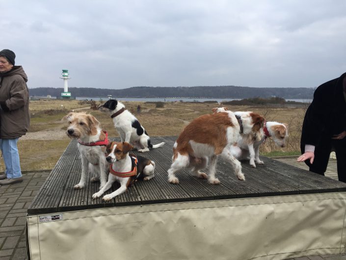 Kromi Treffen am Surendorfer Strand