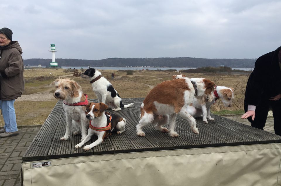 Kromispaziergänge an der Ostsee 2019