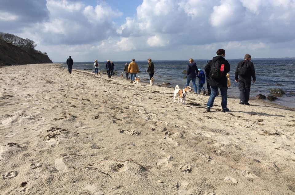 Kromi-Treffen in Surendorf 02.04.2017