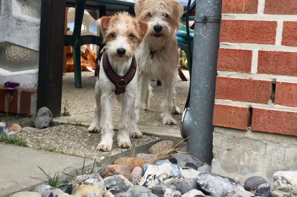 Jerry’s Tochter Nala zu Besuch