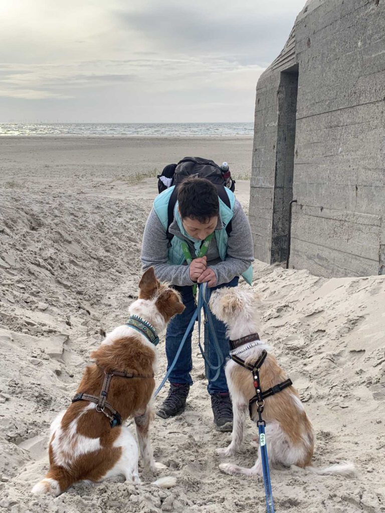 Jerry und Rübe am Strand von Blåvand